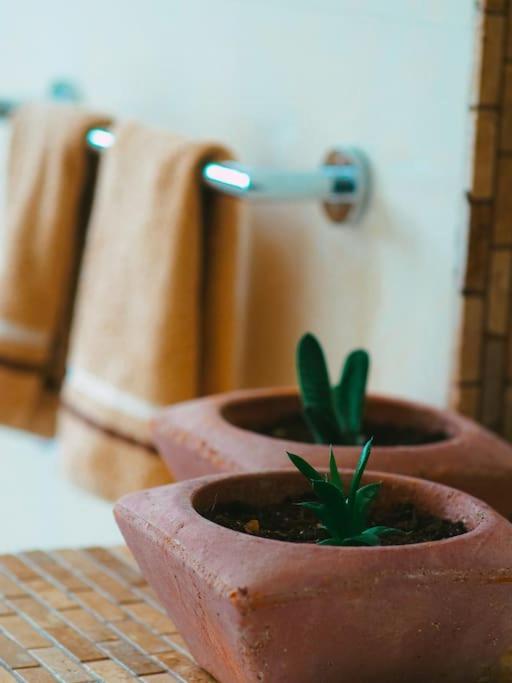 Luxury Villa Kassandrino Kassandrinón エクステリア 写真