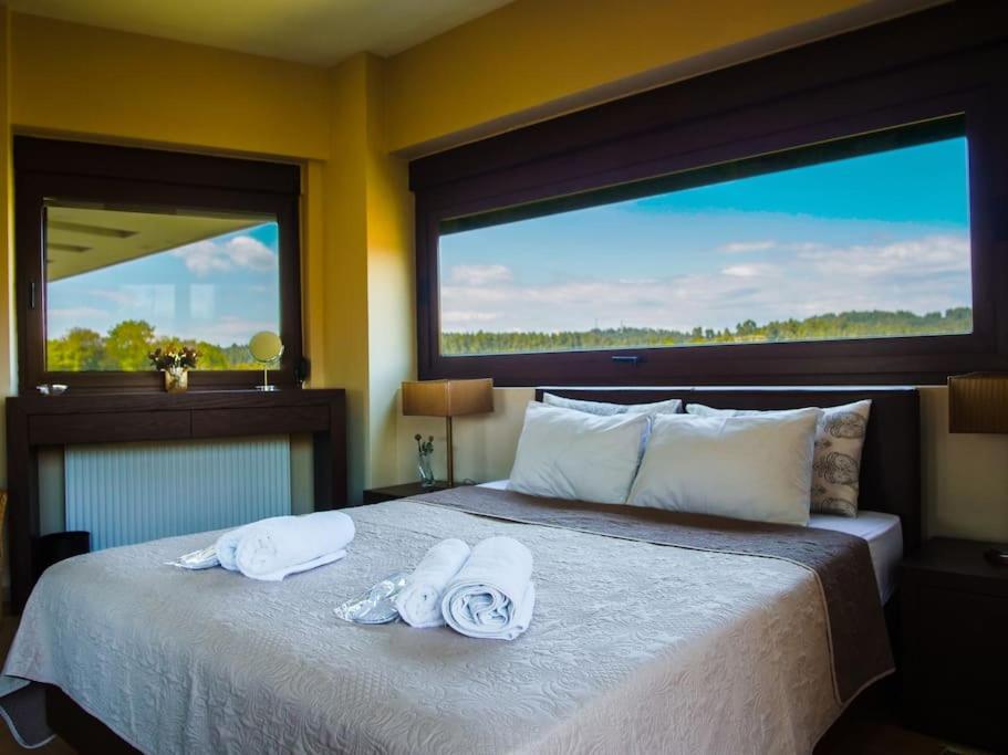 Luxury Villa Kassandrino Kassandrinón エクステリア 写真