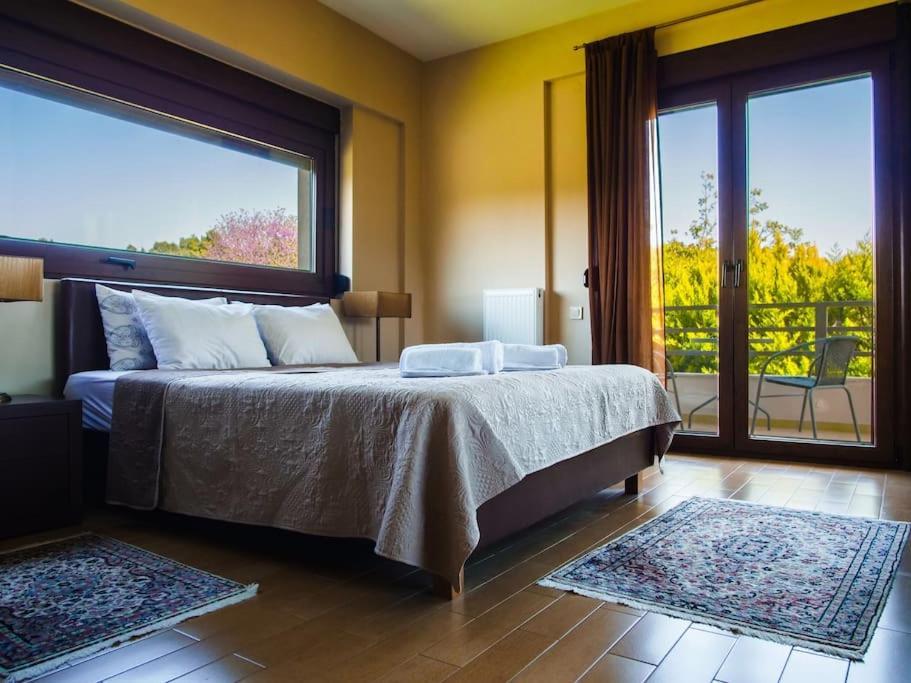 Luxury Villa Kassandrino Kassandrinón エクステリア 写真