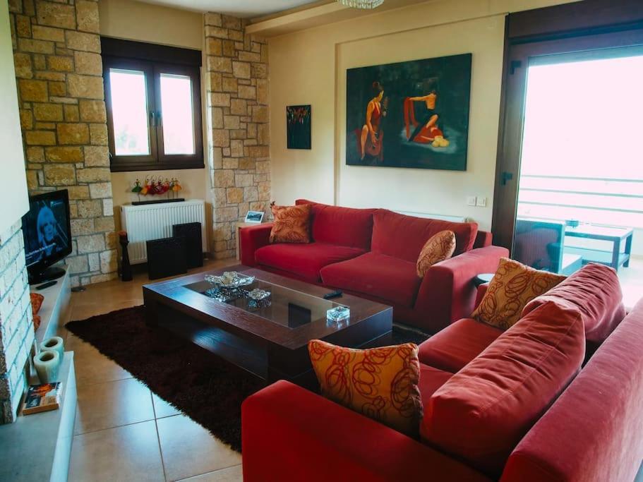 Luxury Villa Kassandrino Kassandrinón エクステリア 写真