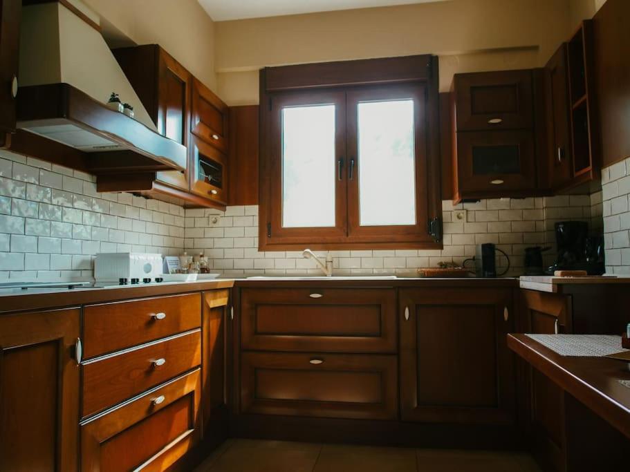 Luxury Villa Kassandrino Kassandrinón エクステリア 写真