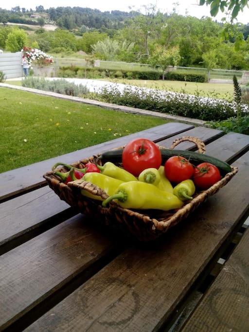 Luxury Villa Kassandrino Kassandrinón エクステリア 写真